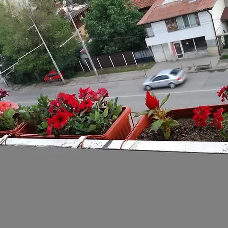 Cozy In Homestay Sofia